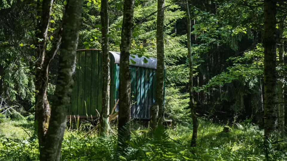Bouwkeet bos