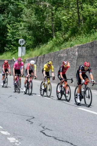 GPS Buddy giro stock