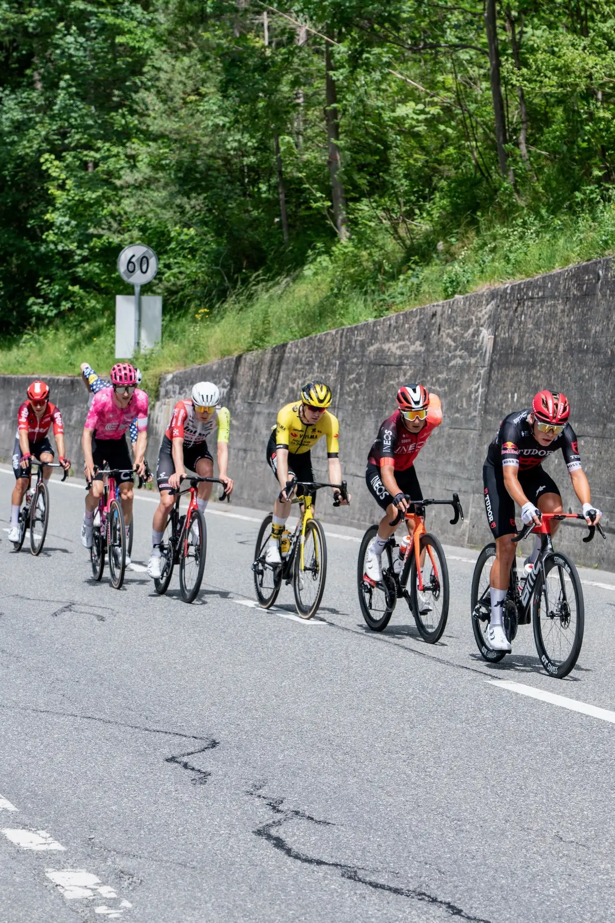GPS Buddy giro stock