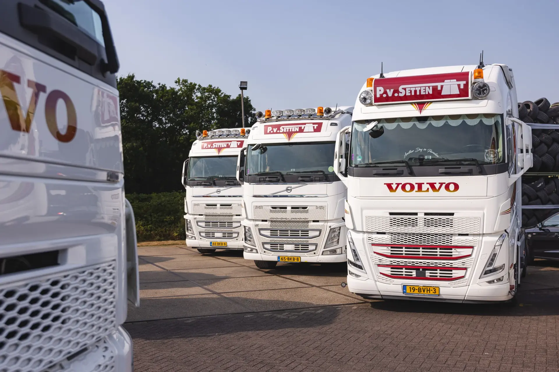 Drie witte Volvo-trucks van P. van Setten naast elkaar geparkeerd, vooraanzicht, met bomen op de achtergrond