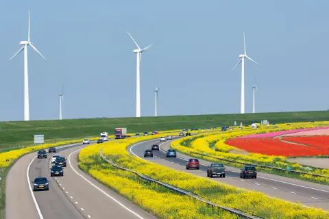 Windturbines bij een snelweg met auto's langs gele en rode bloemenvelden