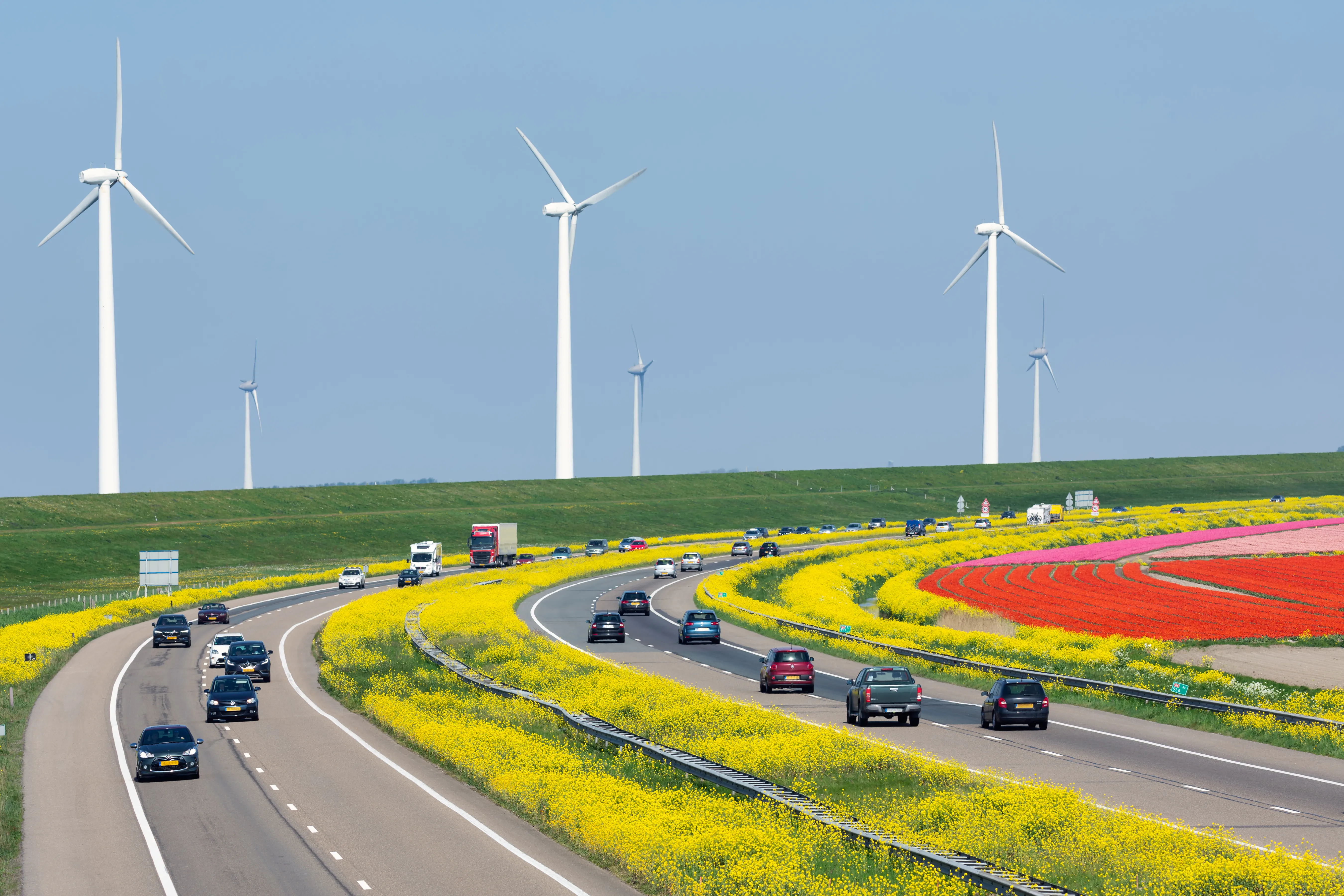 Windturbines bij een snelweg met auto's langs gele en rode bloemenvelden