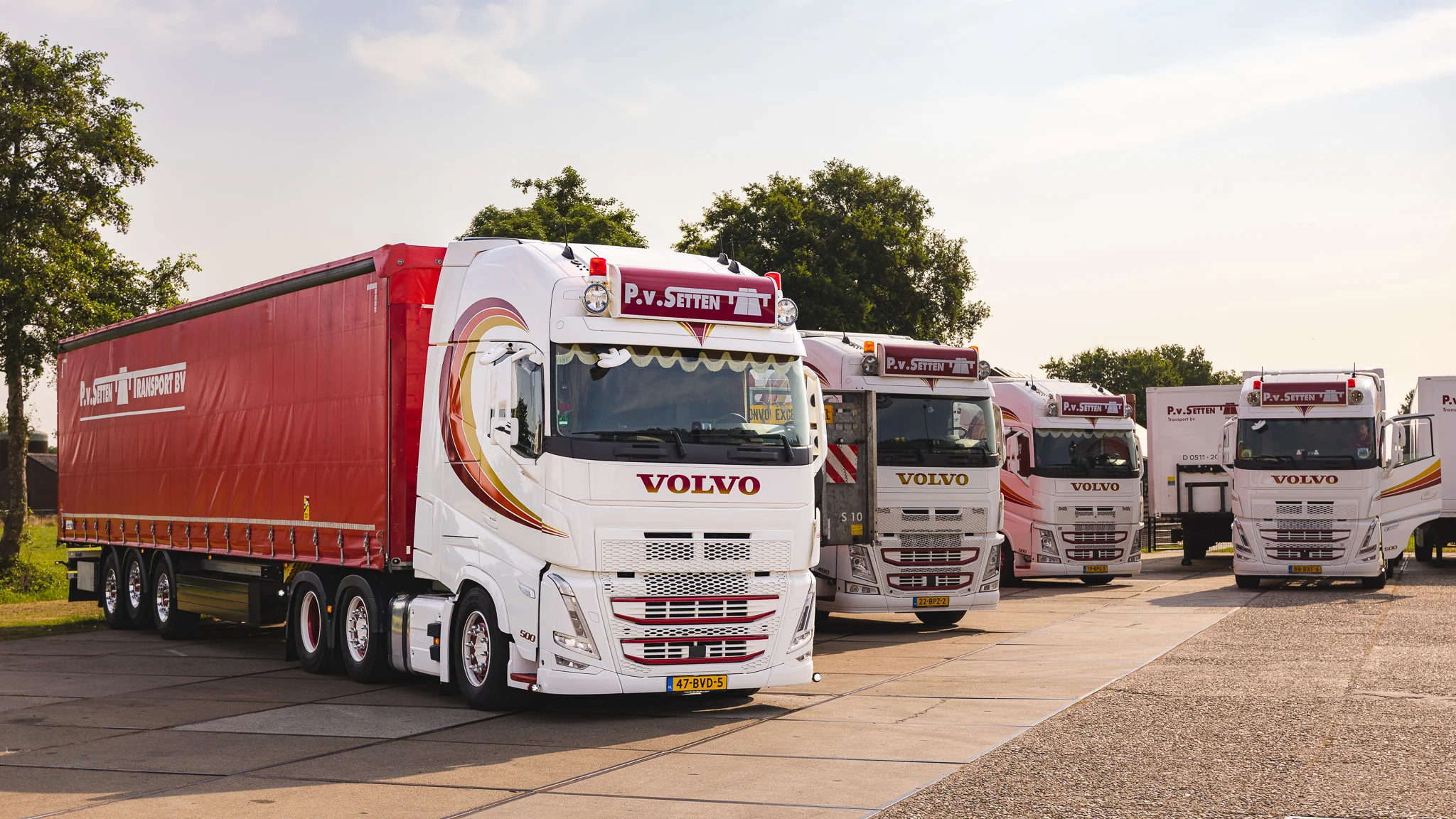 Witte Volvo van P. van Setten met rode zeiloplegger, met een rij trucks ernaast op het terrein